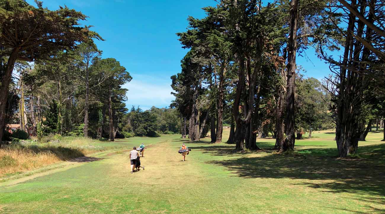 Gleneagles’ towering trees feel vintage NoCal.