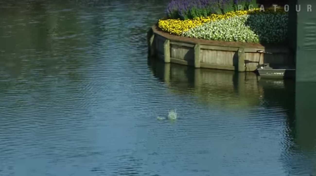 Look at that splash! The true Sawgrass island lurks in the background.