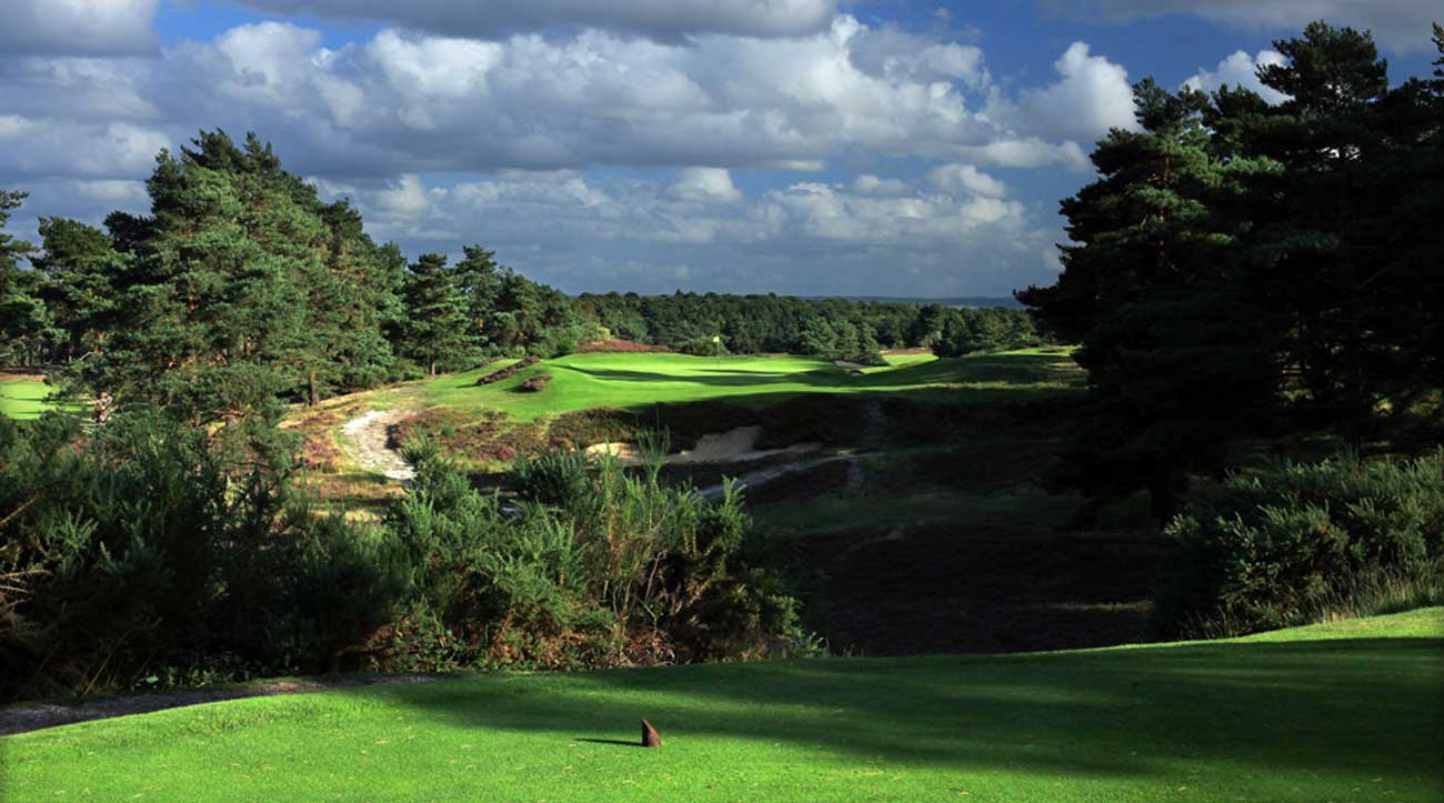 Sunningdale New