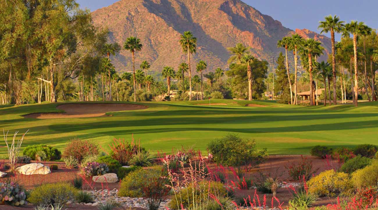 McCormick Ranch Palm
