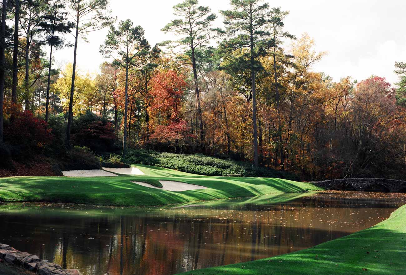 Could we see some chrysanthemums planted behind No. 12 at Augusta National this fall? 