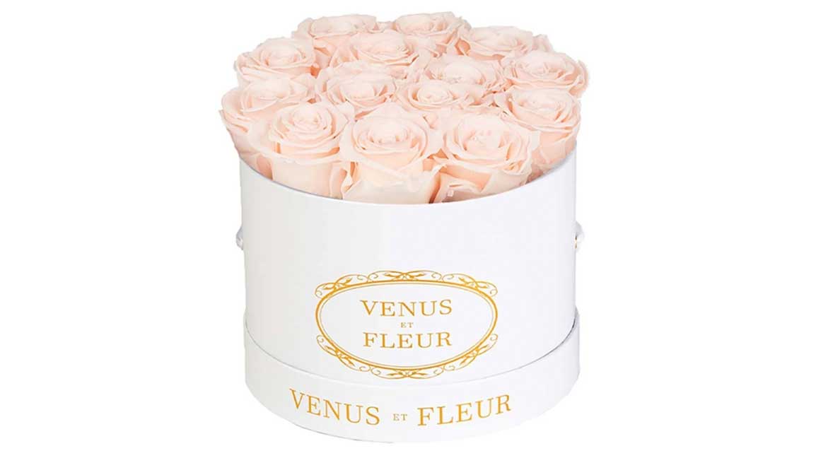 pink roses