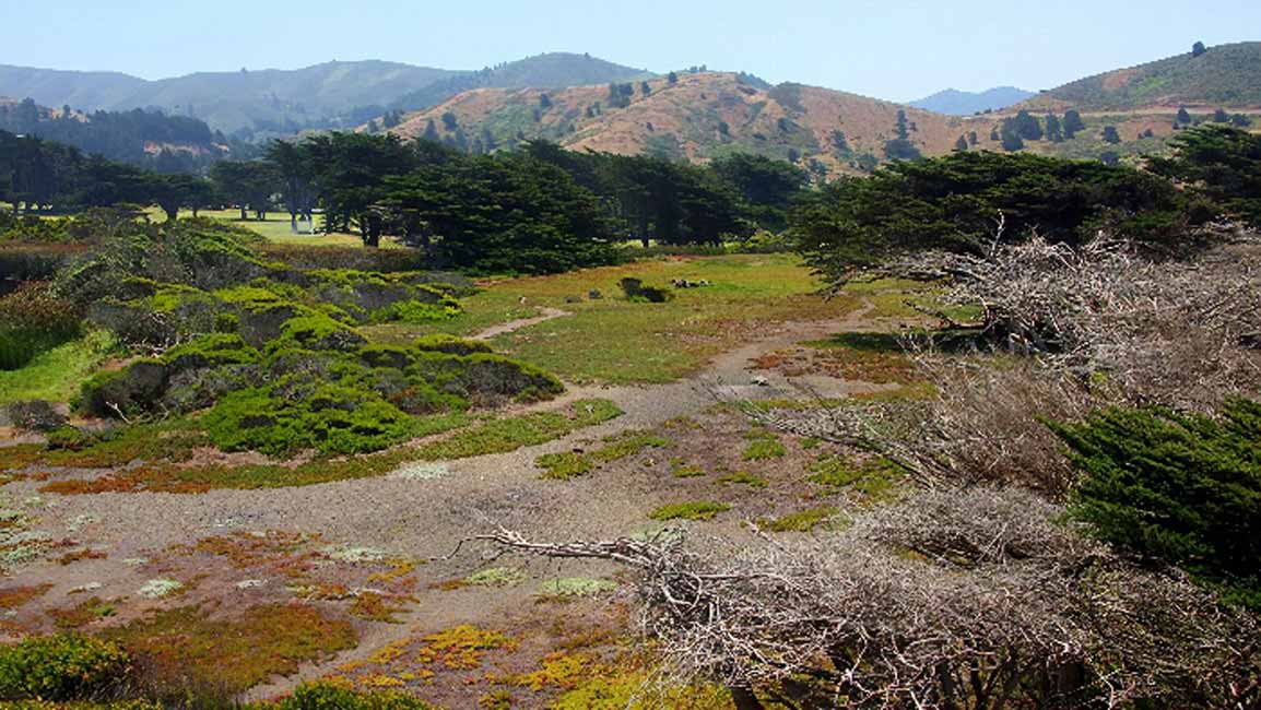 sharp park lost holes