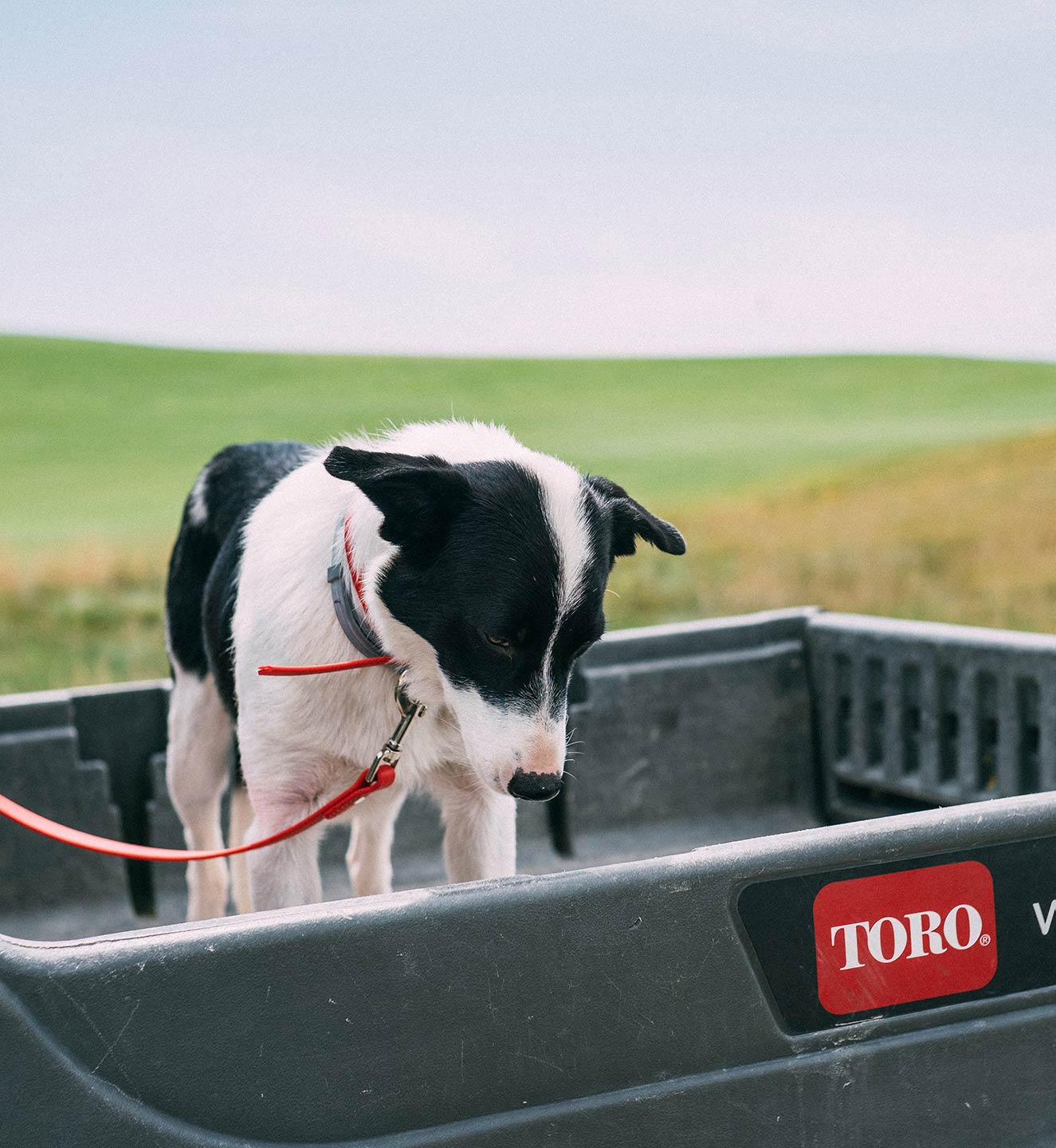 Erin Hills in Hartford, Wisconsin.