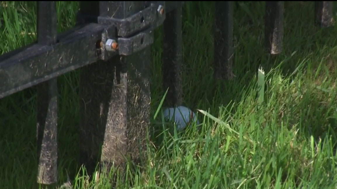 bryson dechambeau fence
