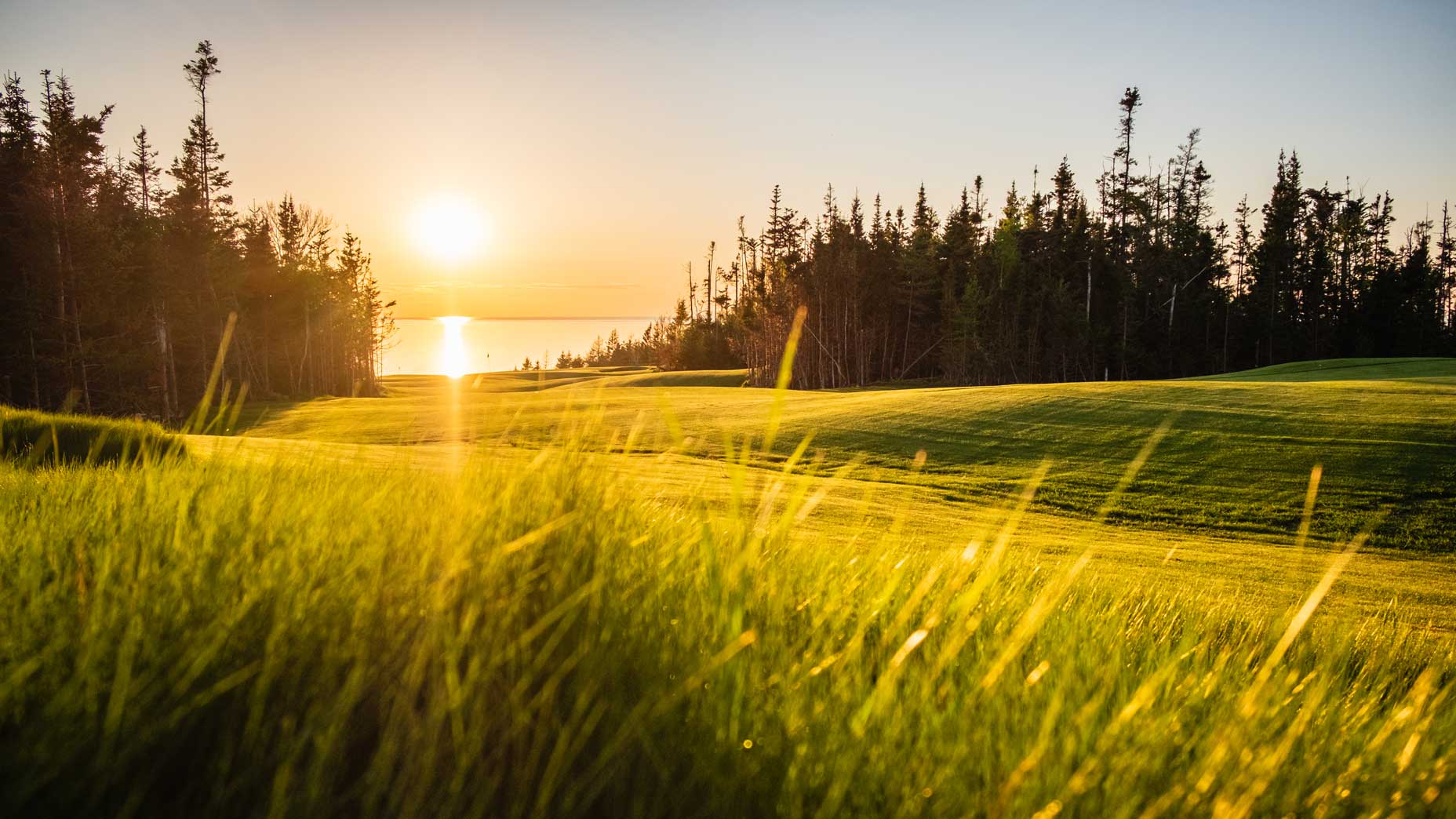 The Nest at Cabot Cape Breton.