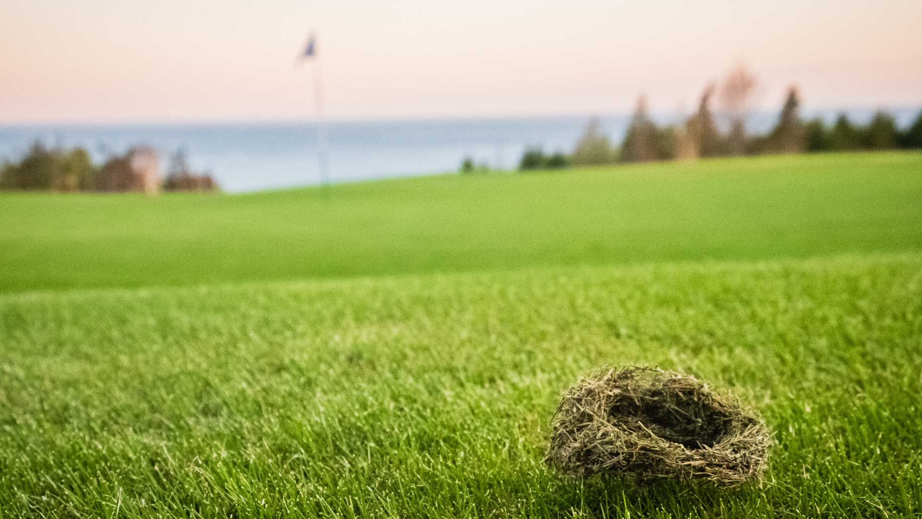 The Nest at Cabot Cape Breton.