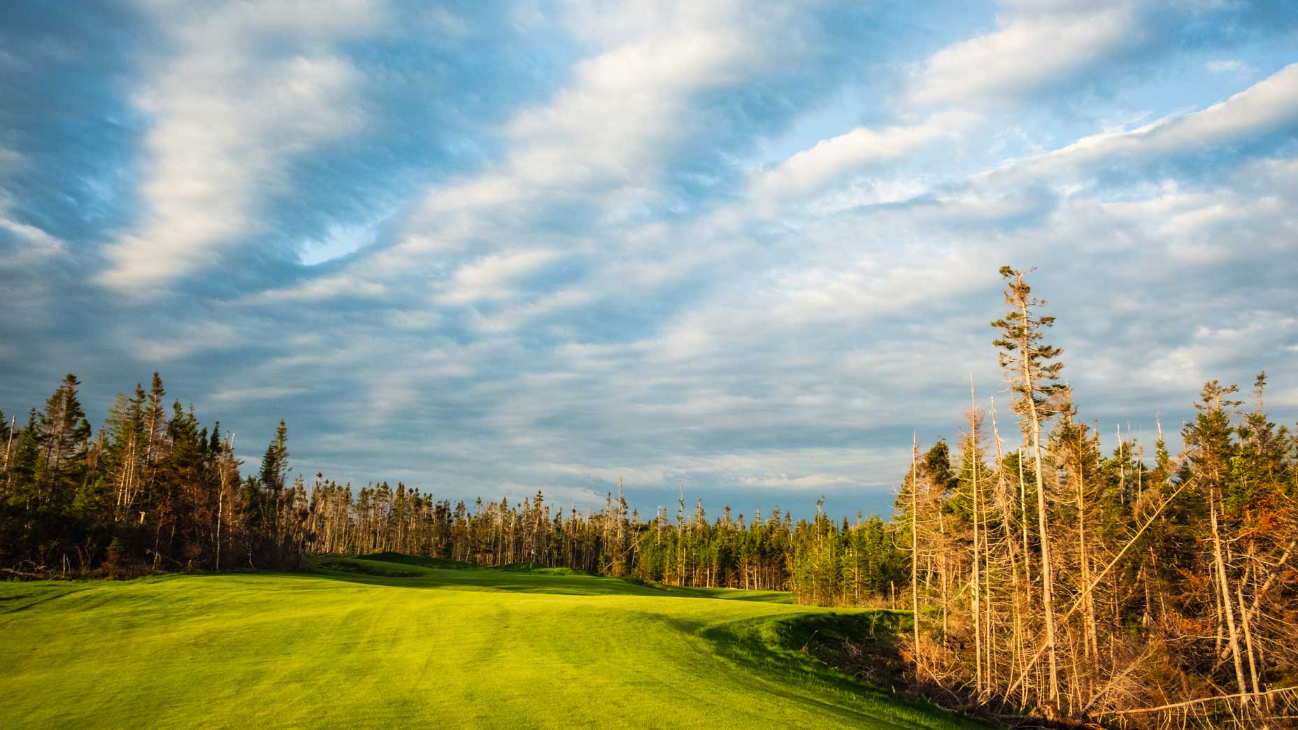 The Nest at Cabot Cape Breton.