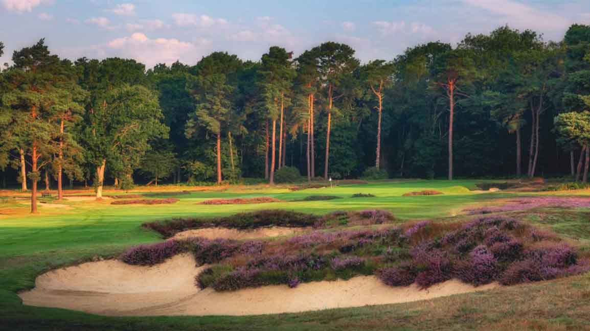 woking gc