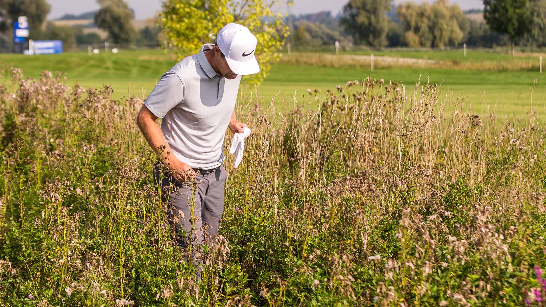 Searching for golf ball.