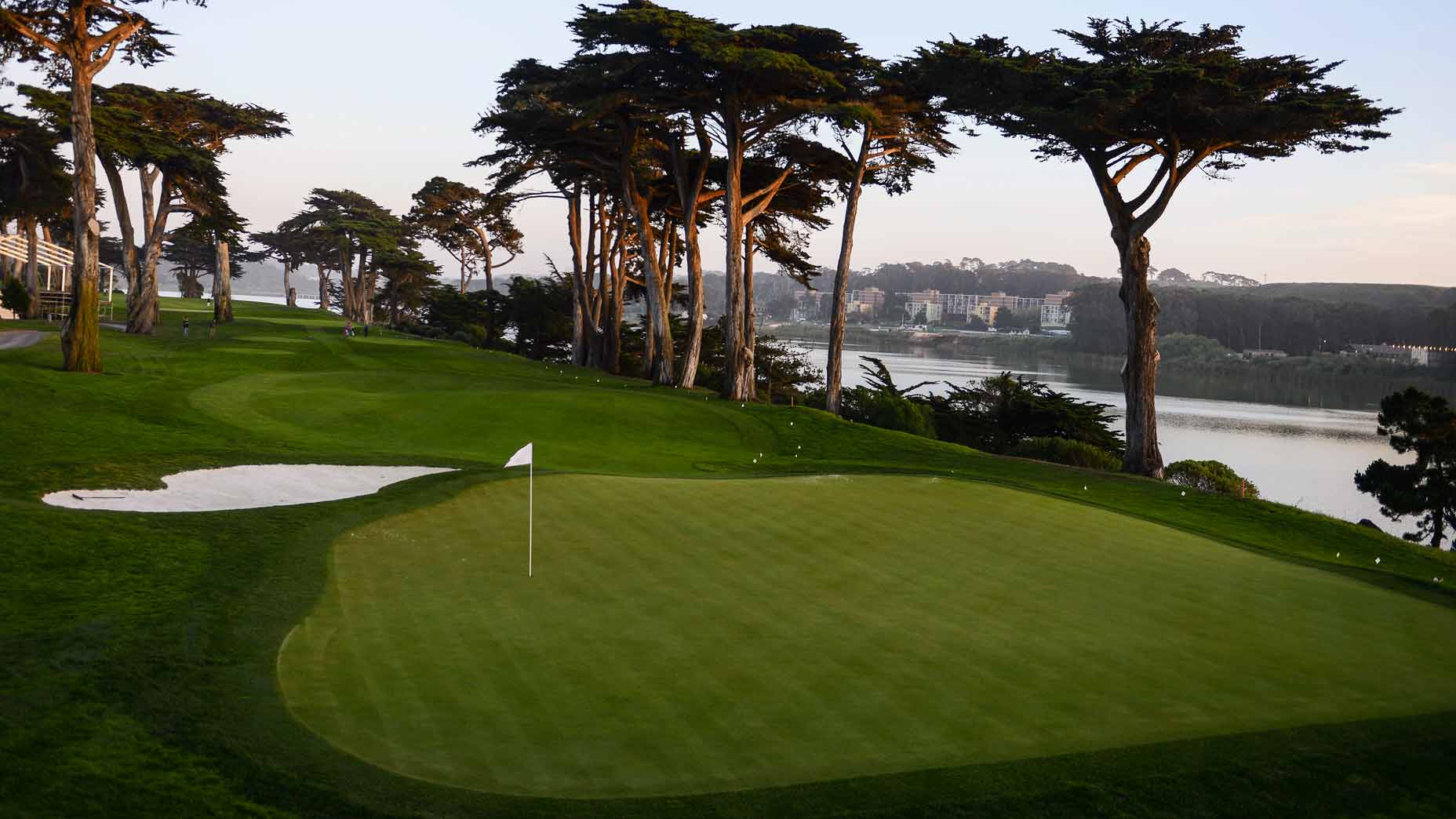 TPC Harding Park
