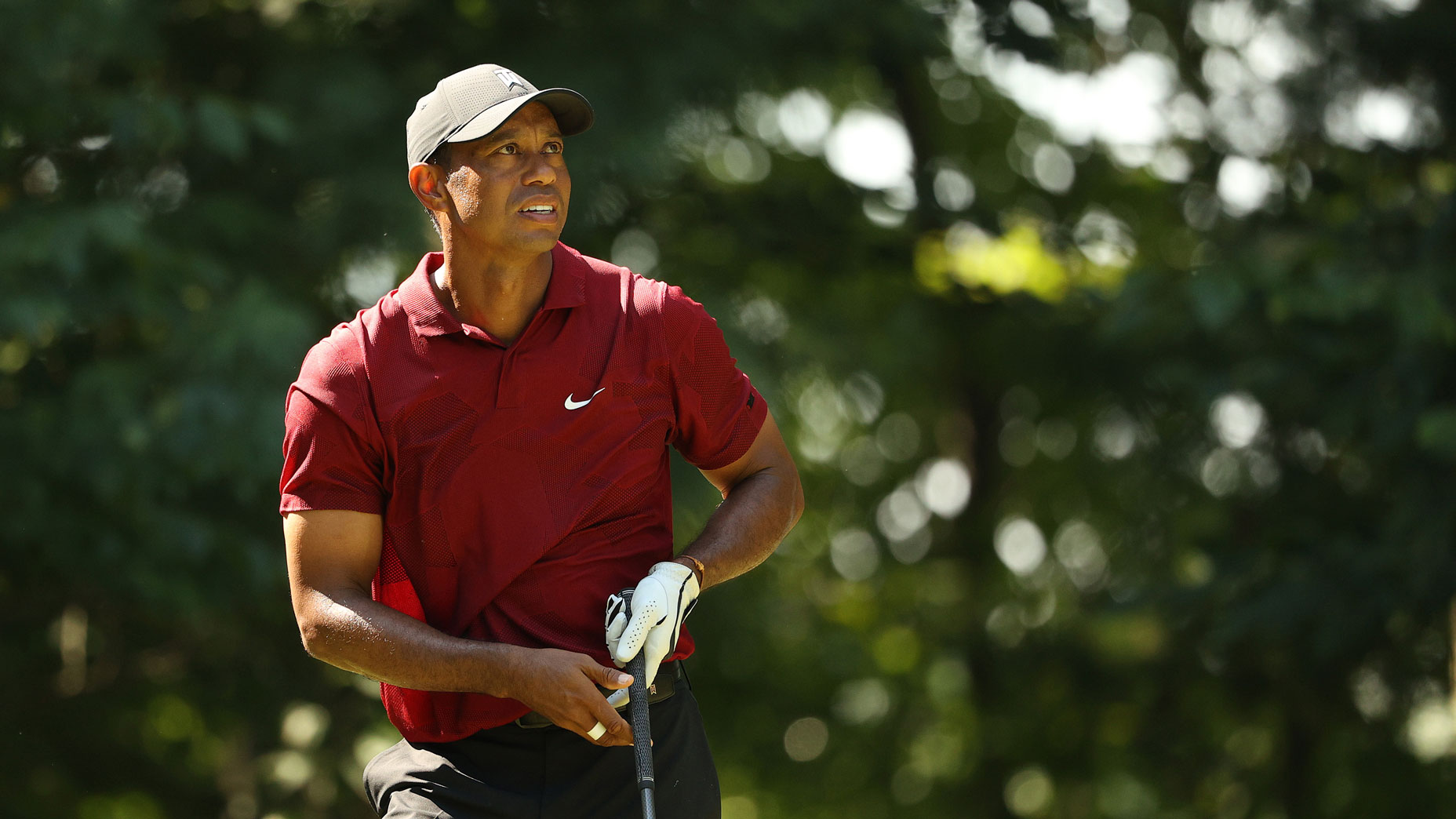 tiger woods tpc boston