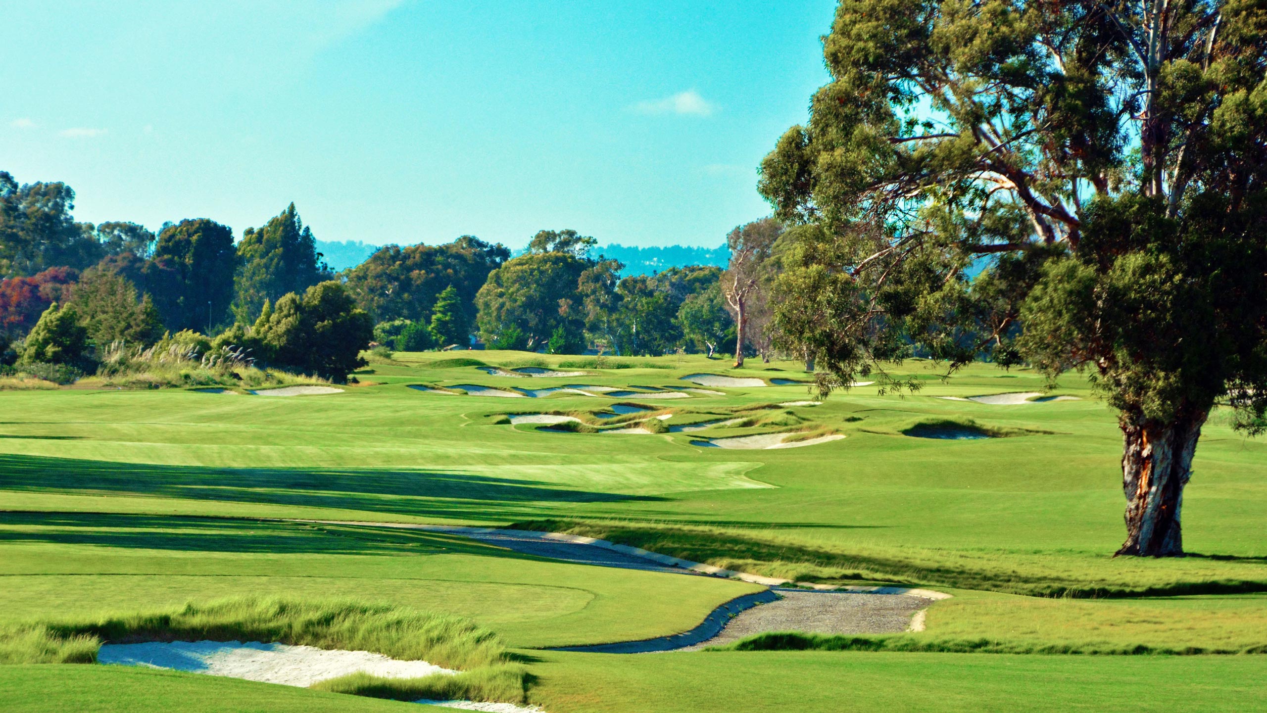 corica park 6th hole