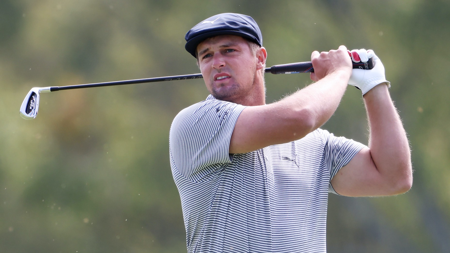 bryson dechambeau cobra