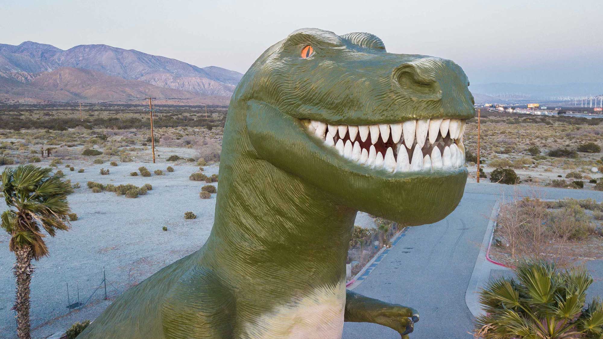 roadside Trex