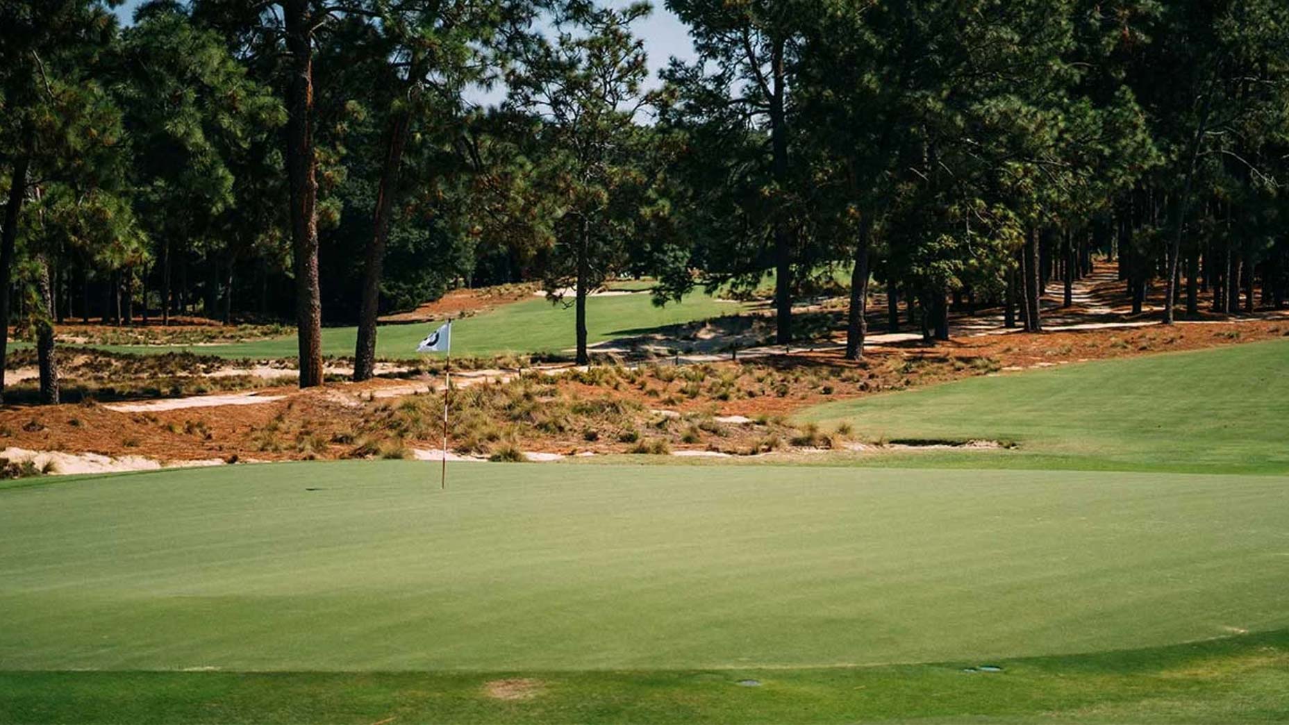 A look at one of the greens at Pinehurst.
