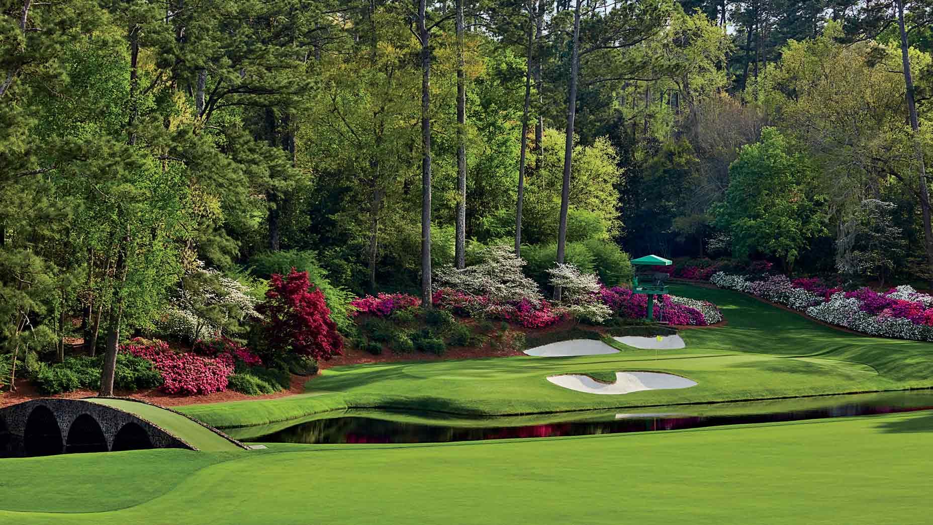 Augusta 12