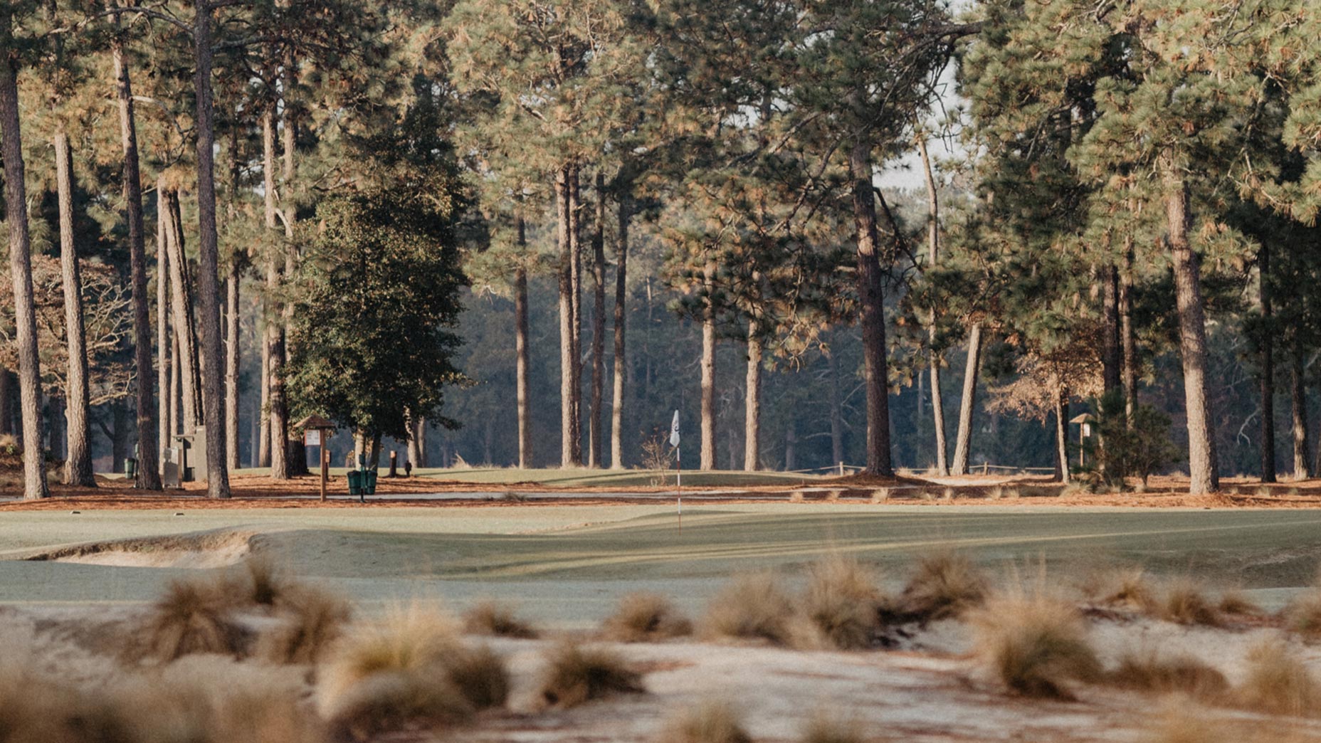 pinehurst no. 2