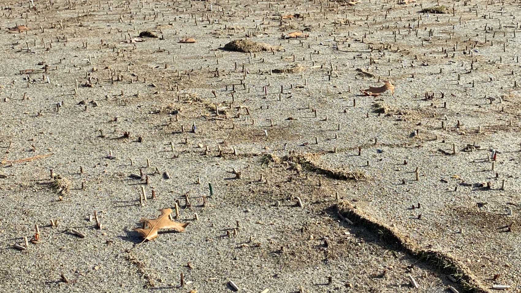broken tees under tee box