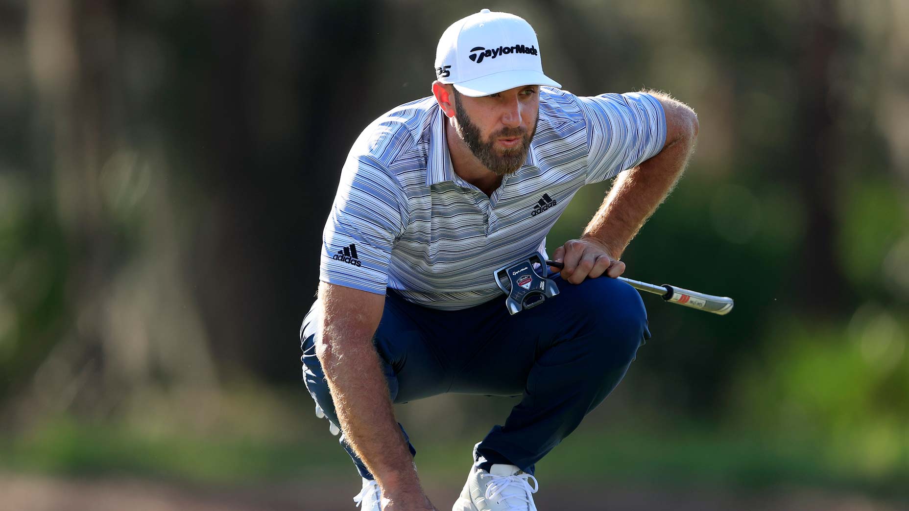 dustin johnson reads putt