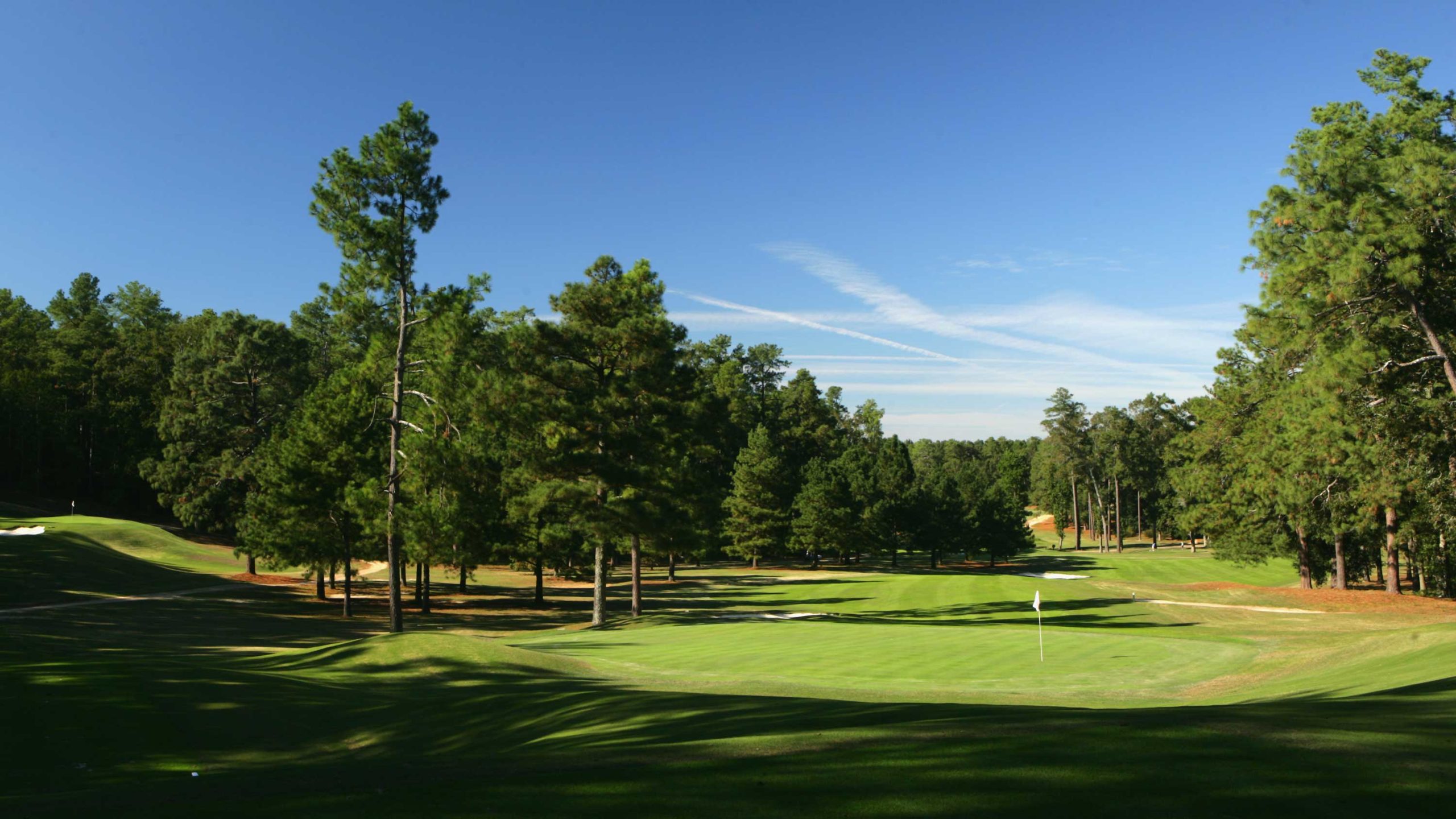 palmetto golf club