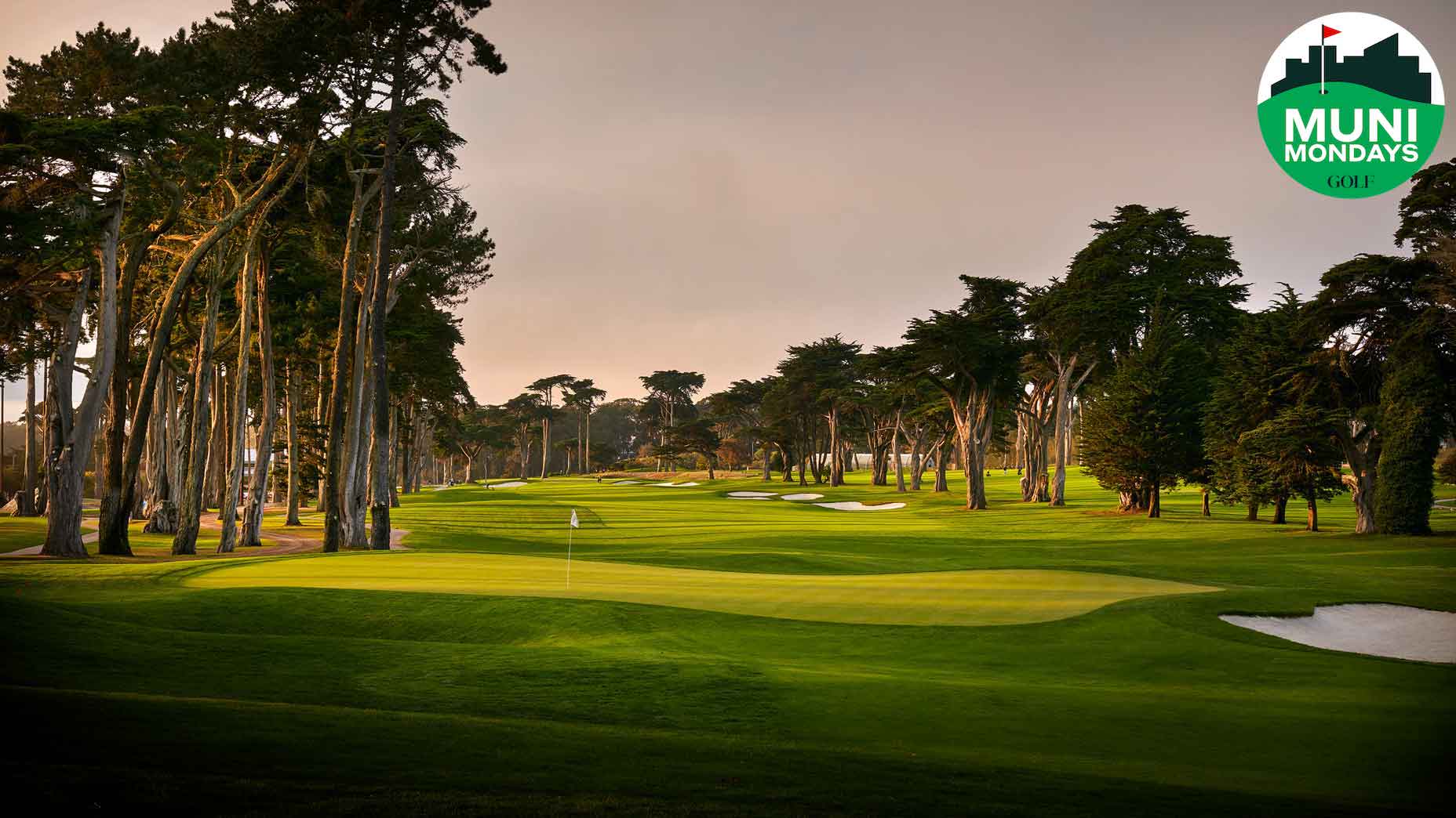 TPC Harding Park