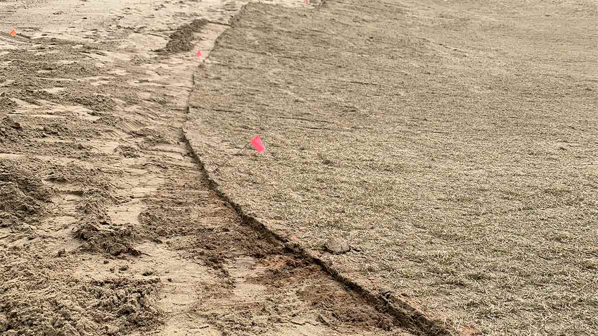 A look at overton park's renovation.