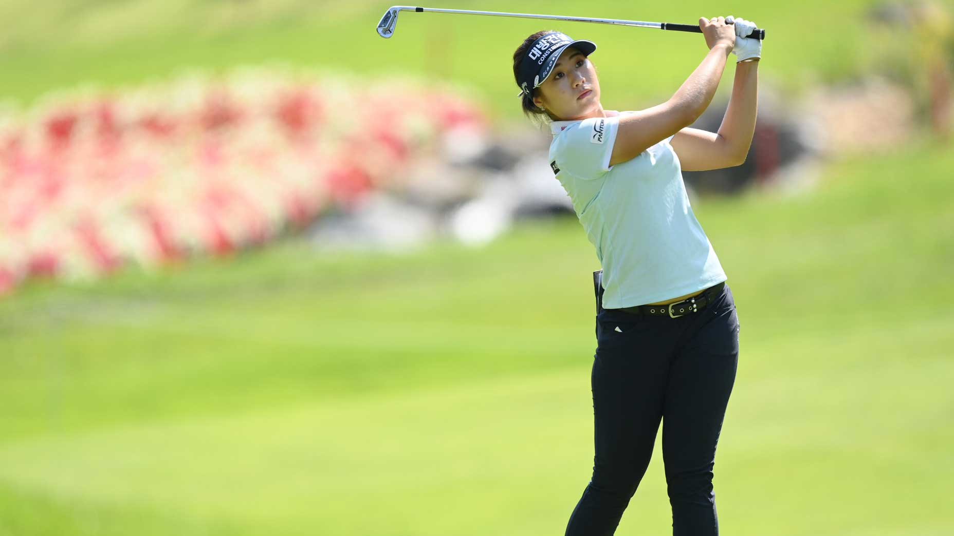 jeongeung lee6 swings