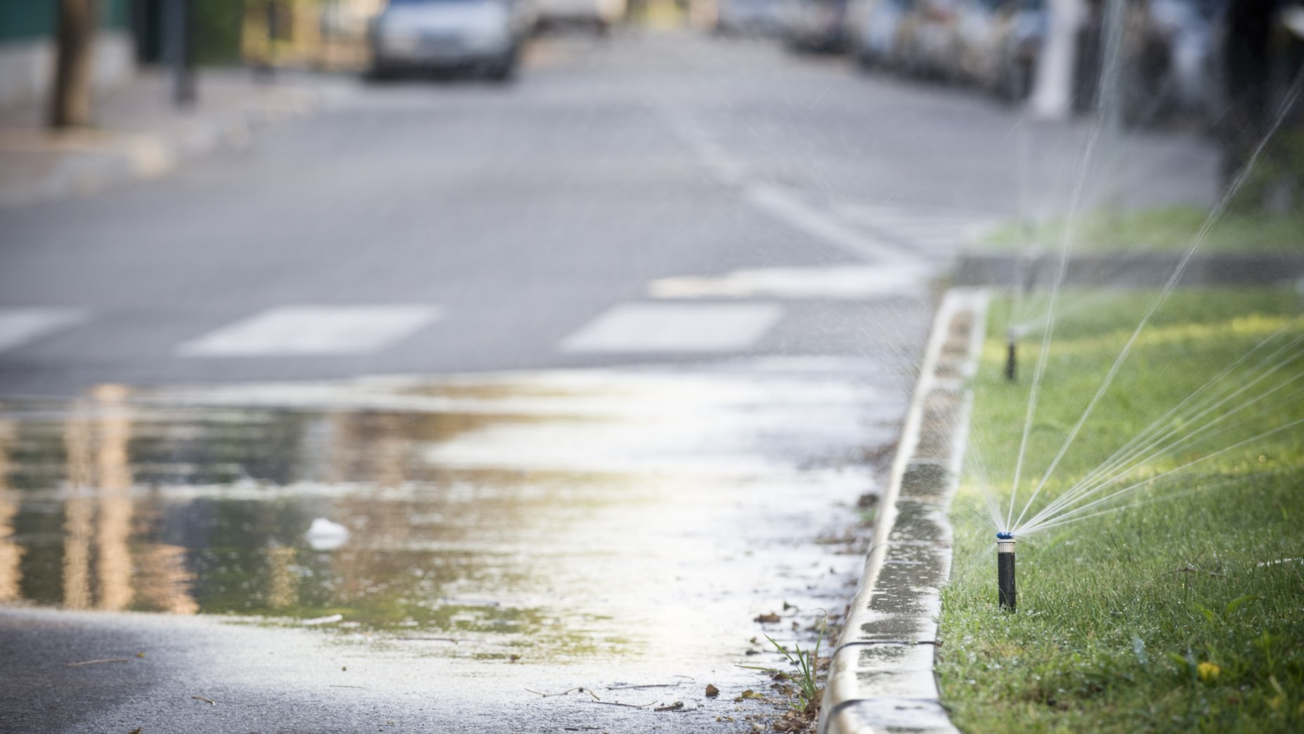 Make sure you're watering your grass &mdash;&nbsp;not your road.