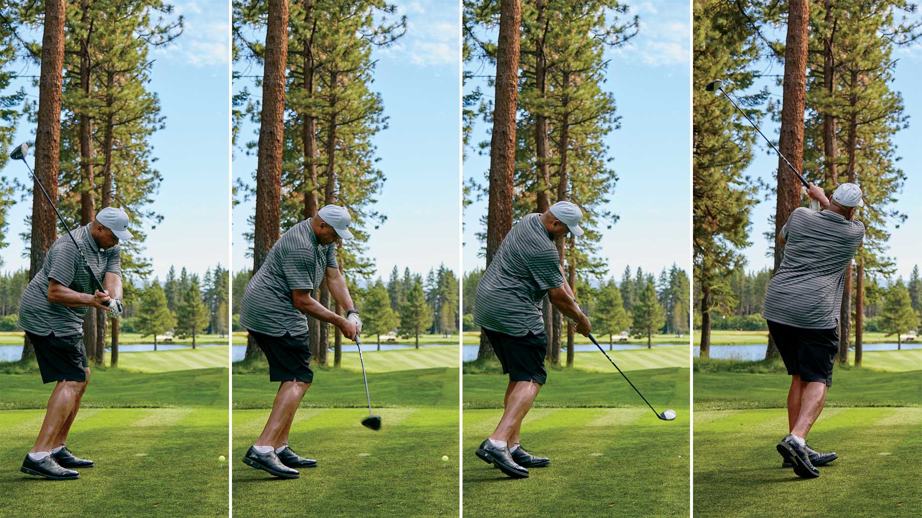 charles barkley swings