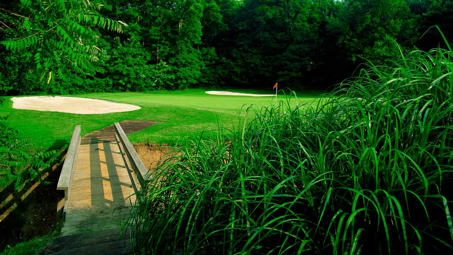 Bridge on golf course