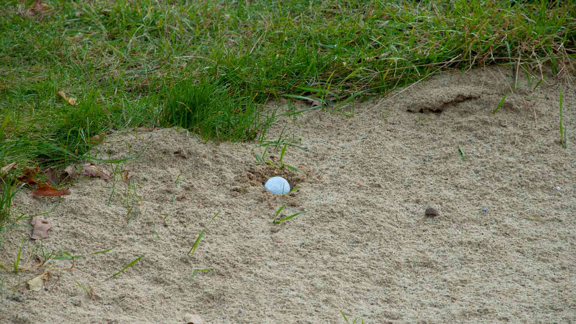 golf ball in buried bunker lie