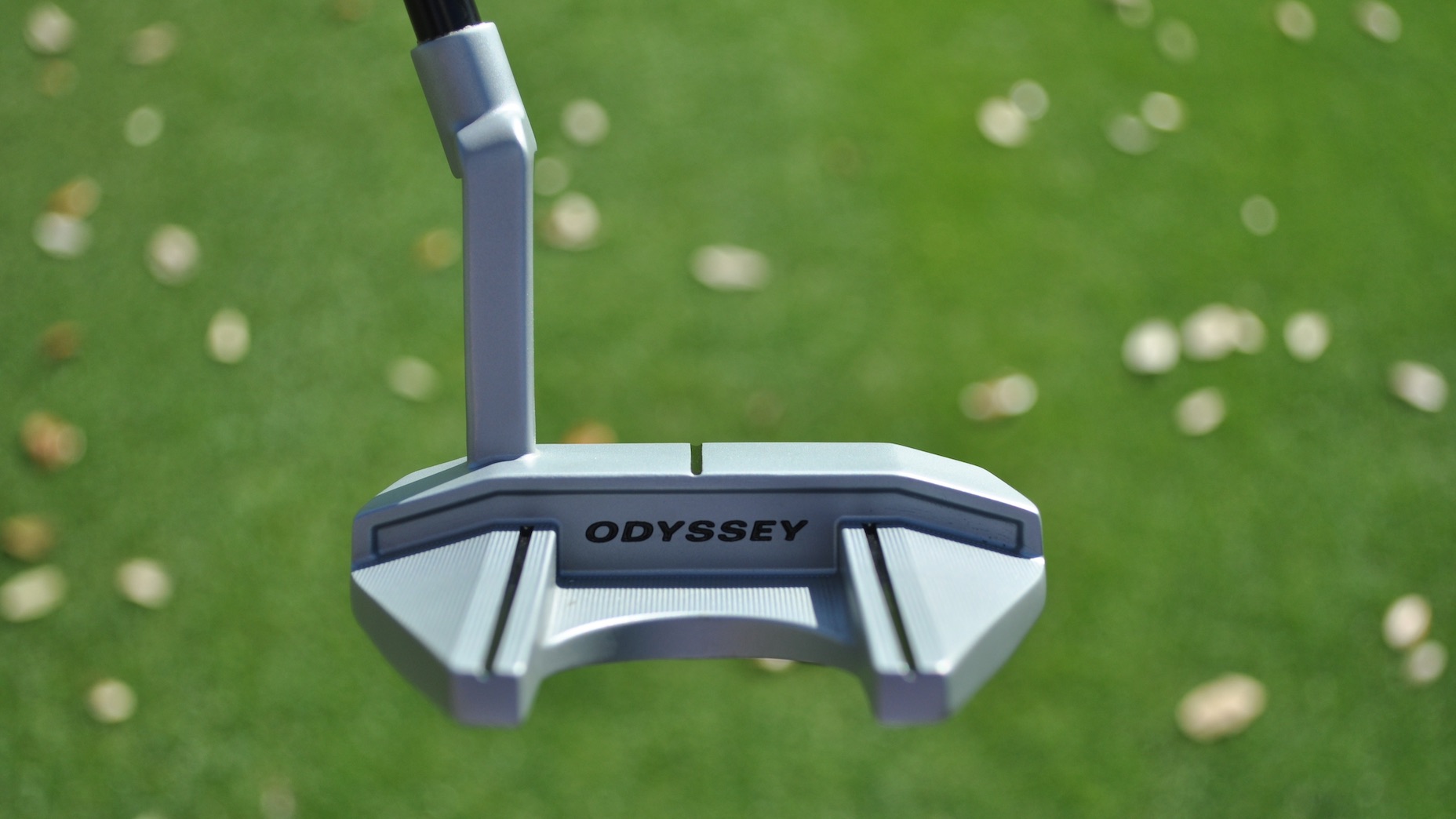 xander schauffele odyssey putter