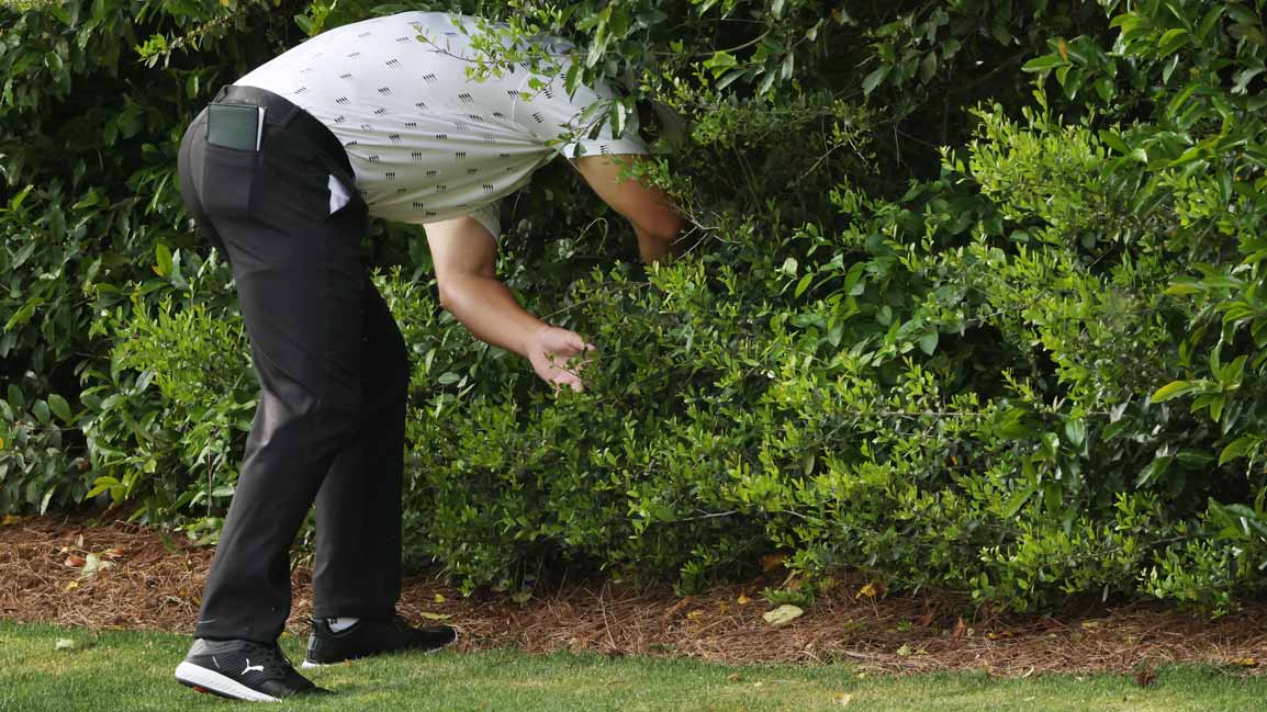 bryson dechambeau searches in the woods