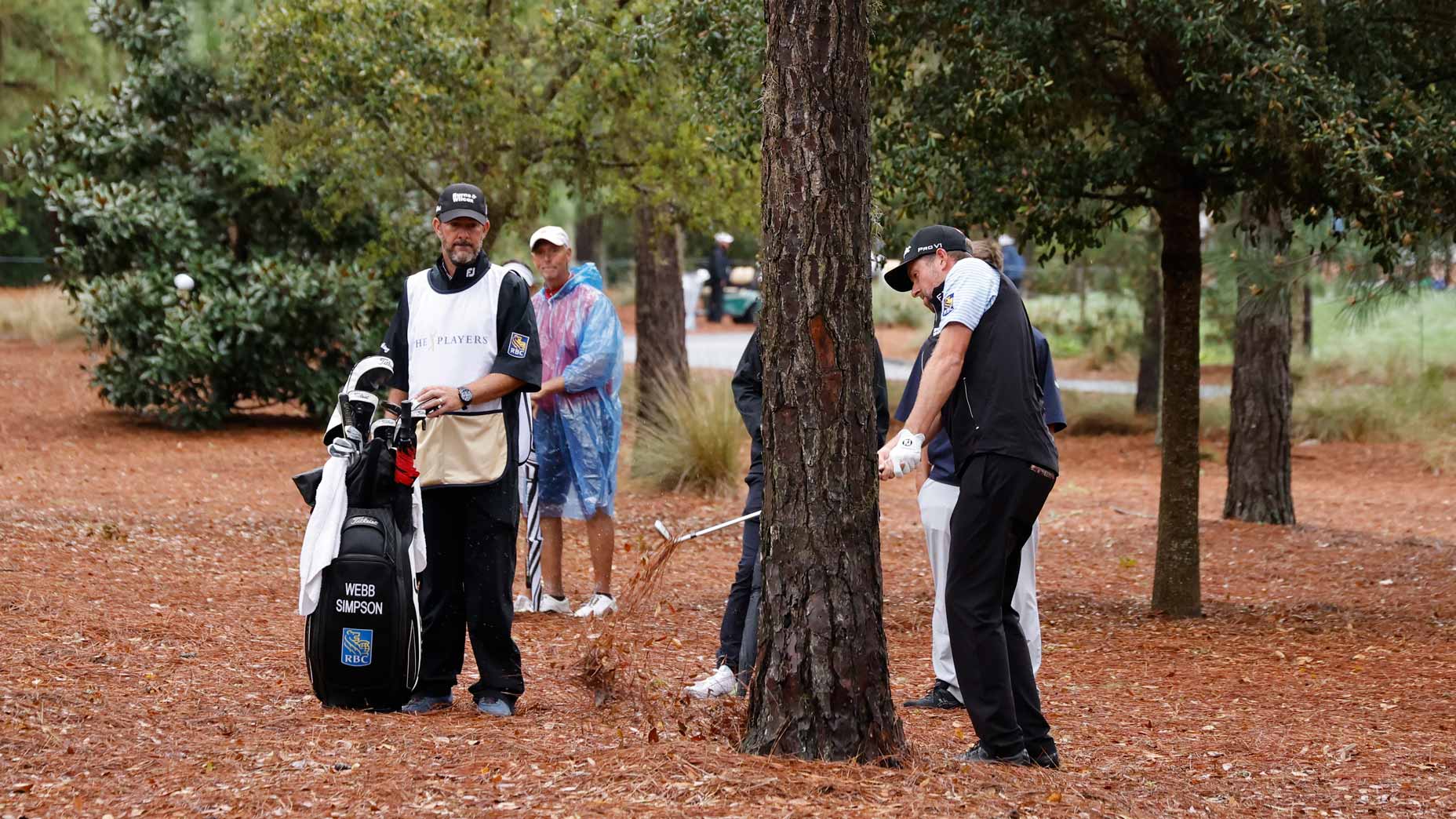 webb simpson hits shot from trees