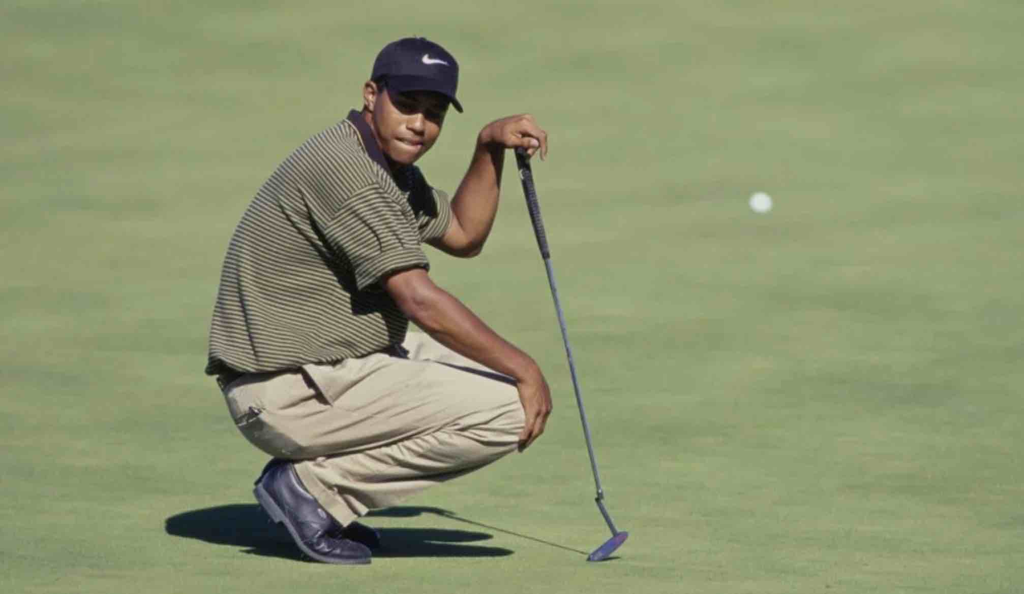 Tiger woods longneck putter