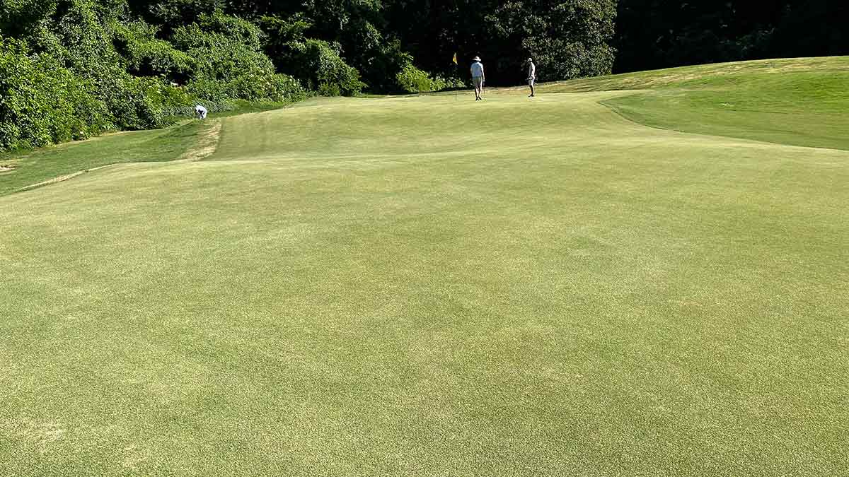 The 4th hole at Overton Park.