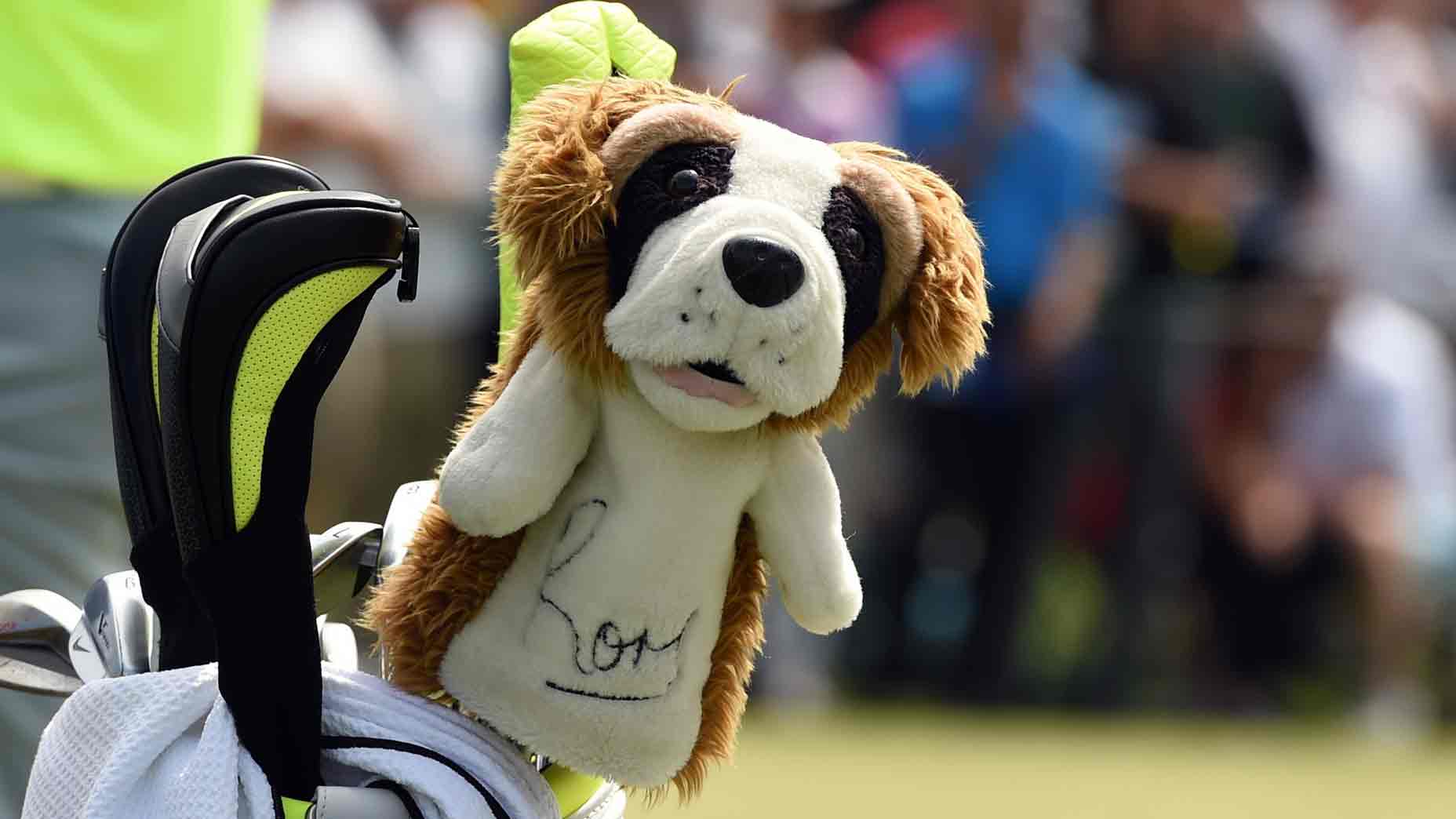 Rory McIlroy headcover
