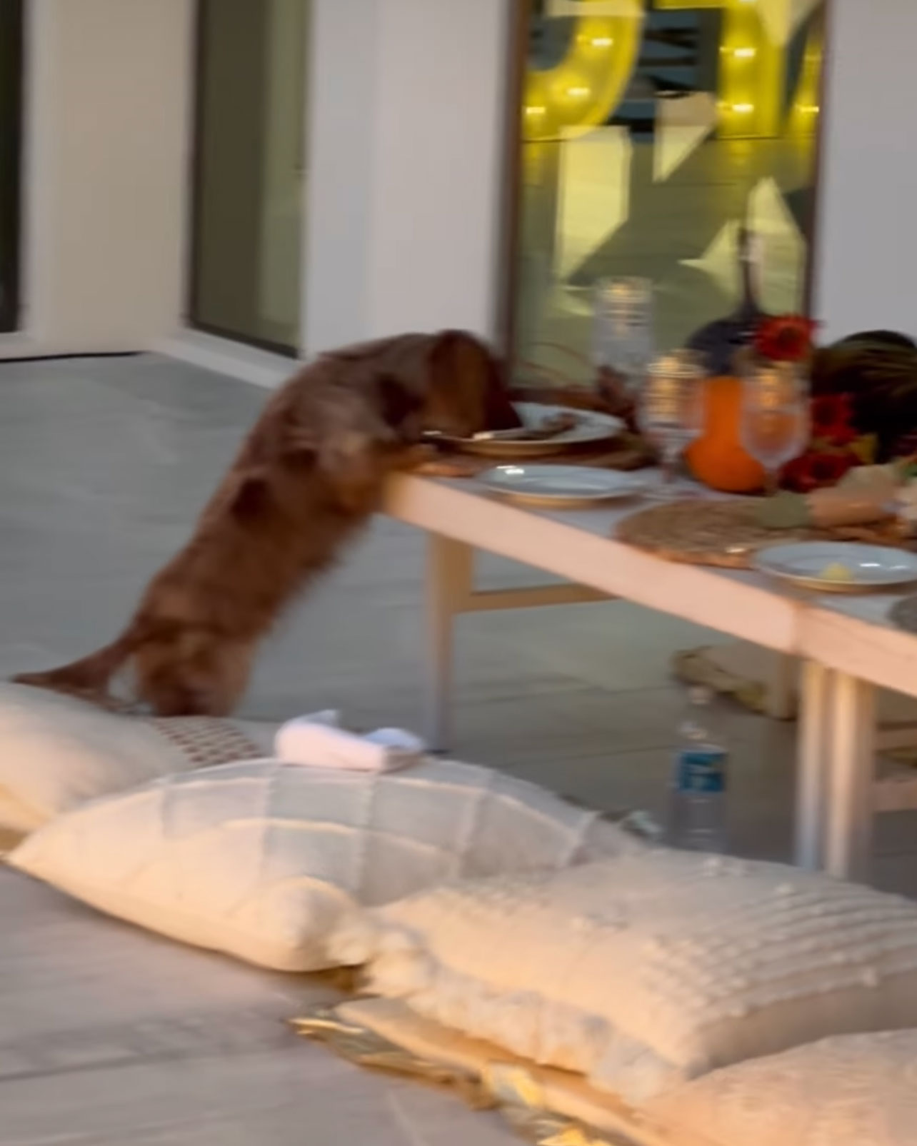 The Gretzky-Johnson Thanksgiving