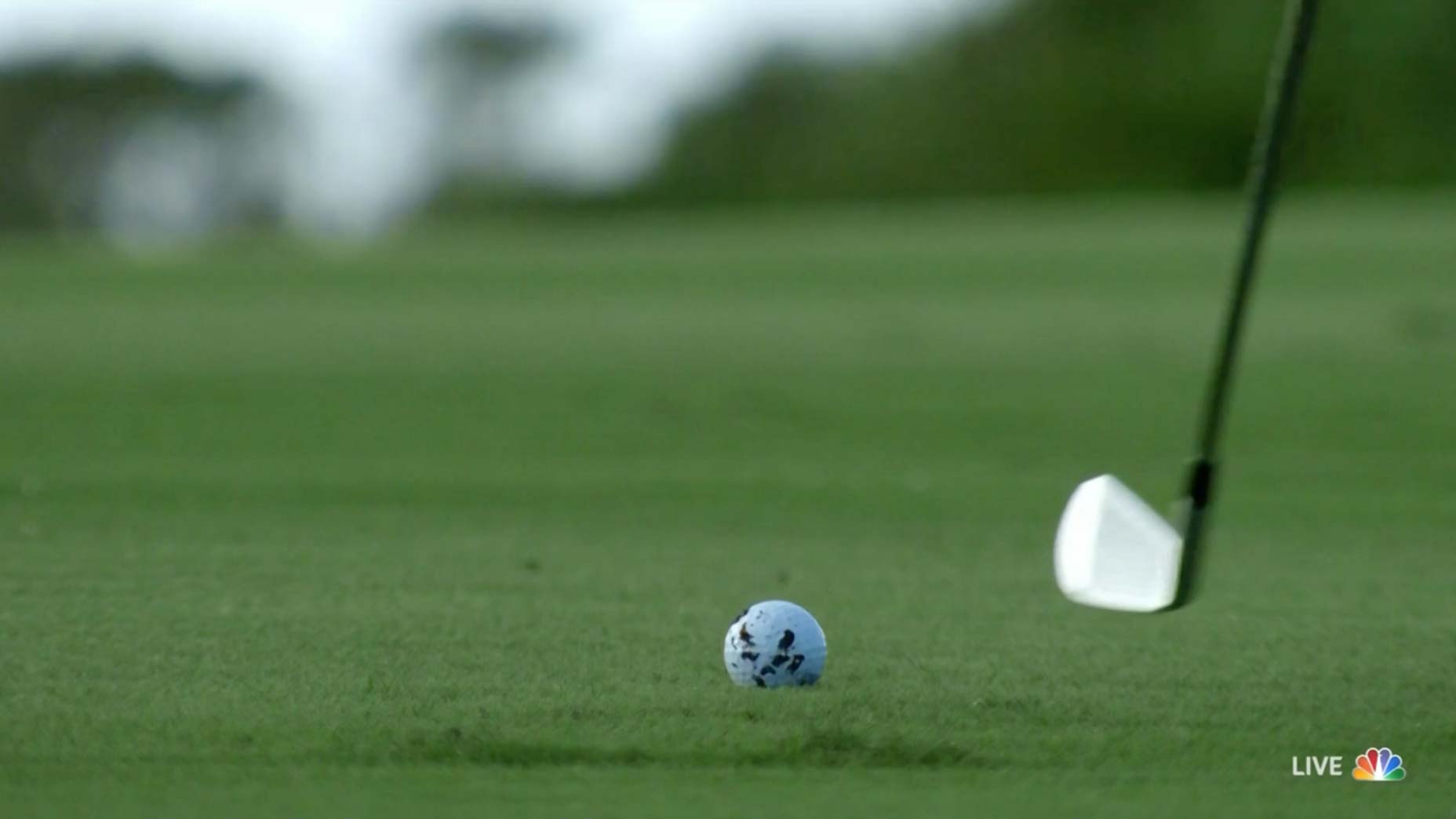 Cam Young caught a rough mud ball on the 11th hole Saturday at the Hero World Challenge.