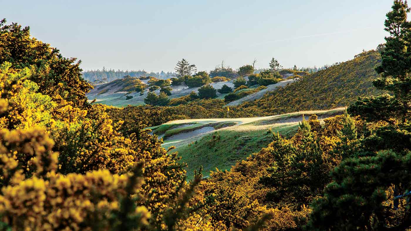 Doak&rsquo;s Pacific Dunes is a beguiling mix of the rugged and the sublimely elegant.