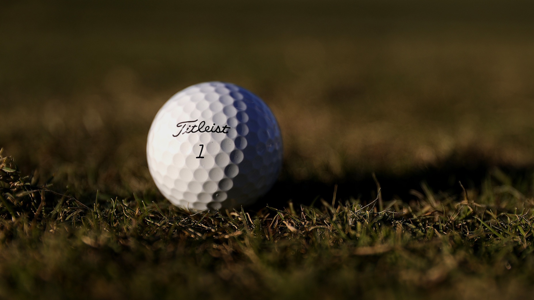 titleist golf ball