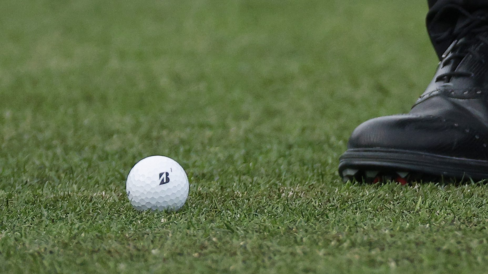 tiger woods bridgestone golf ball riviera