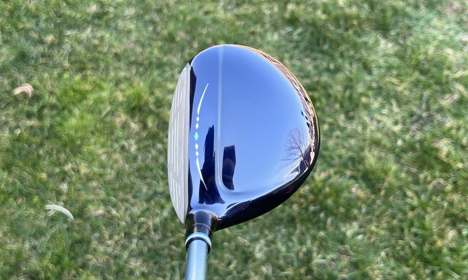 XXIO 13 ladies 3 wood from address