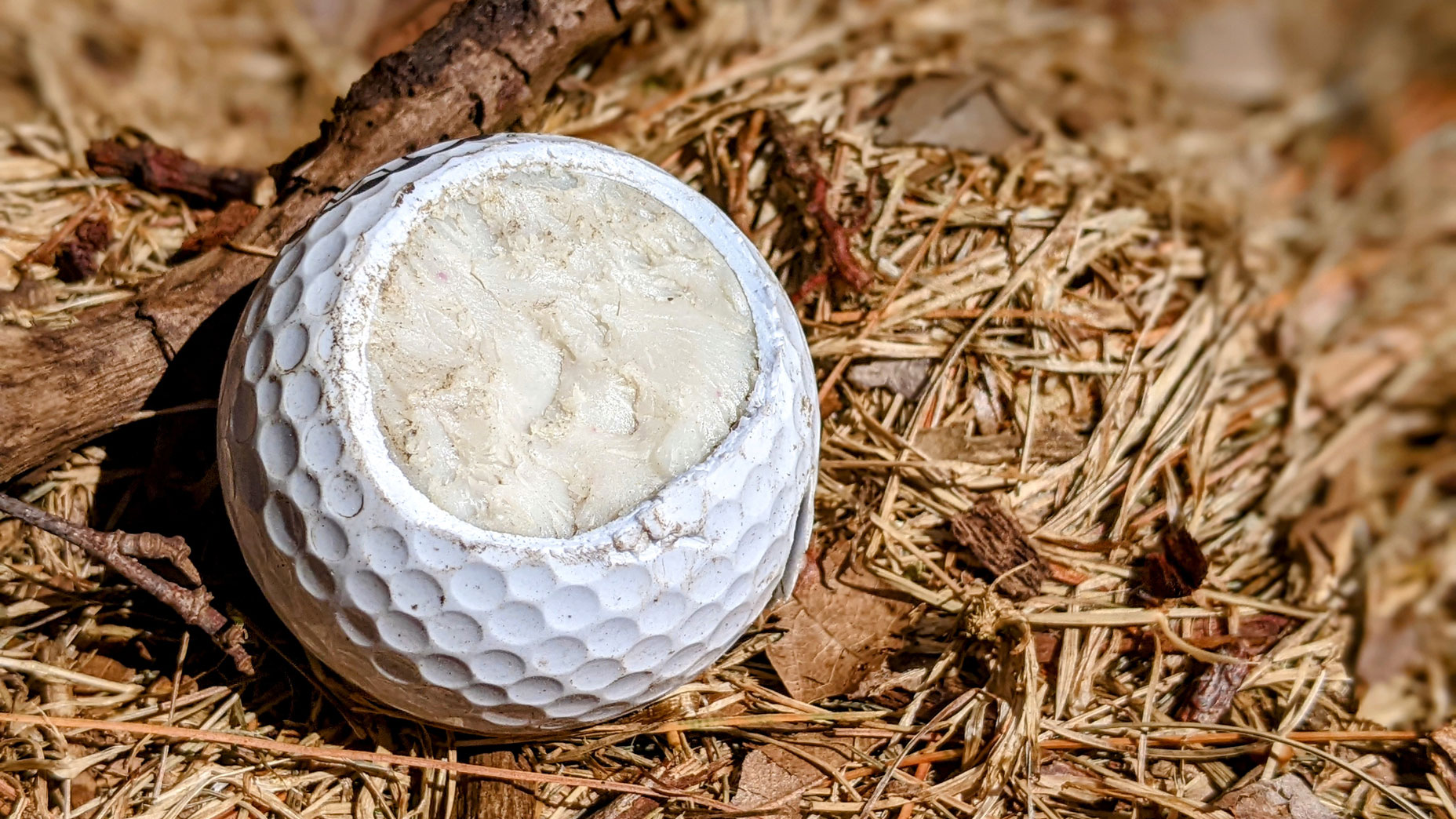 A damaged golf ball with part of its cover cracked off