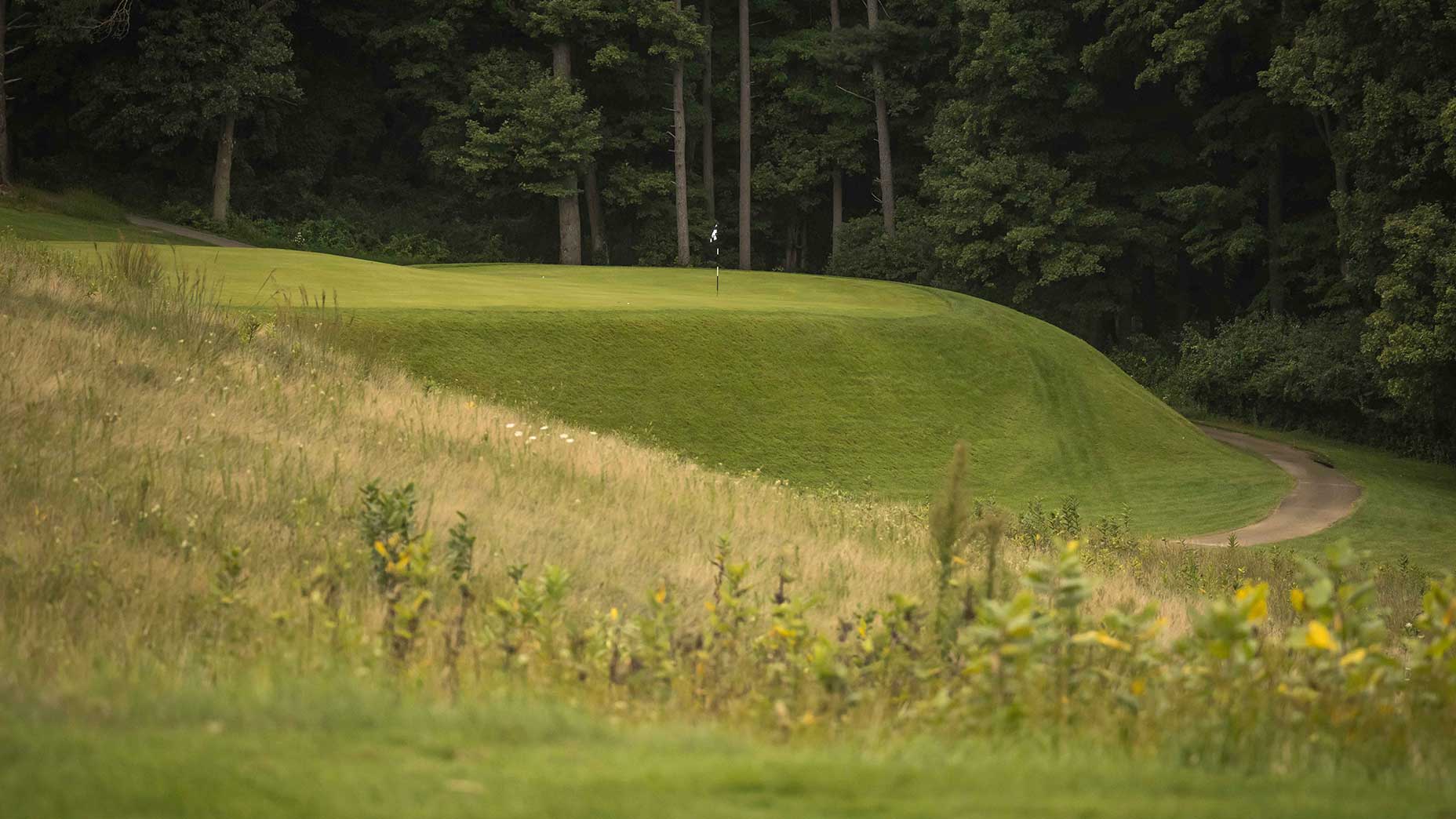 The par-3 7th hole at Lawsonia Links.