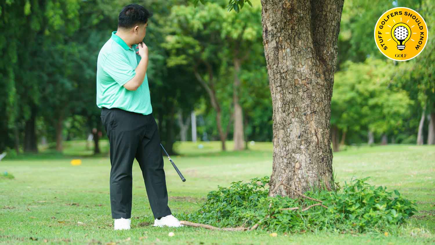 golfer confused after ball hits tree