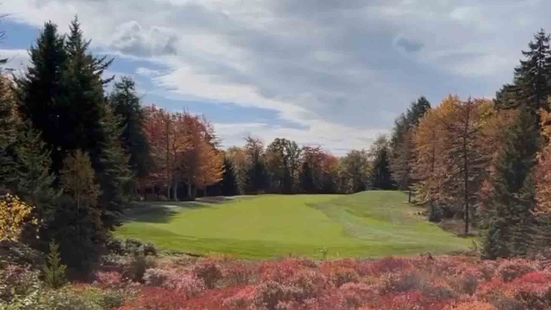 Fall golf is here. And the 'leaf rule' is in full bloom.
