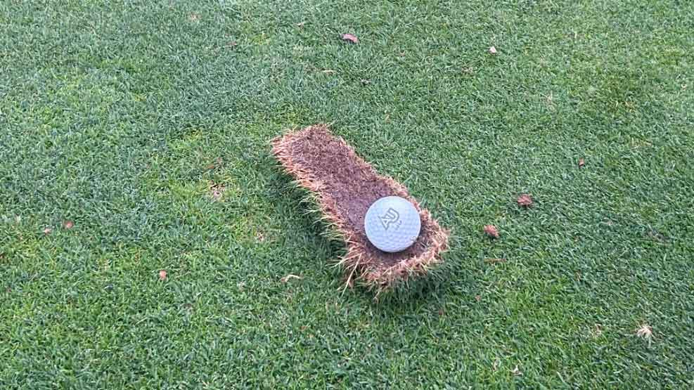 golf ball sitting on divot in fairway