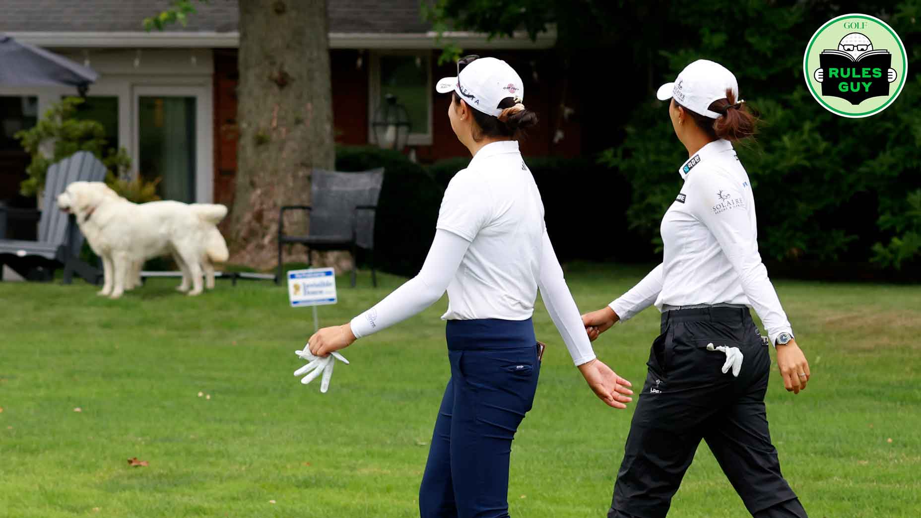 Rose Zhang and Jin Young Ko walk the 16th hole as they watch two dogs playing in a back yard of. a house that sits on the course during the first round of the Dana Open on July 13, 2023, at Highland Meadows Golf Club in Sylvania, Ohio.